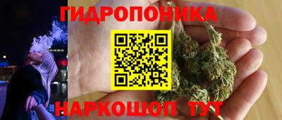 ПСИЛОЦИБИНОВЫЕ ГРИБЫ Сланцы