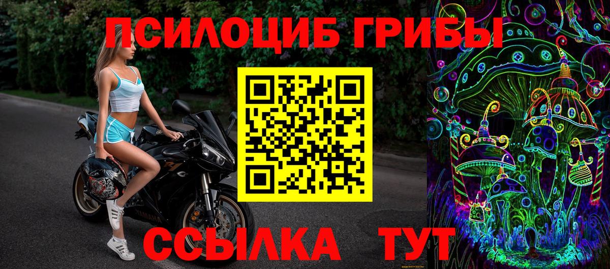 Псилоцибиновые грибы мухоморы  Вход с VPN  Минеральные Воды  Псилоцибиновые грибы GOLDEN TEACHER 