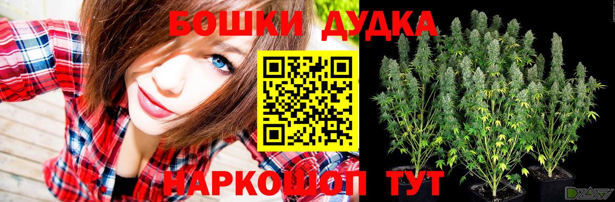 Каннабис тримм  Канабис план  Вход с VPN  Канабис планчик  Минеральные Воды 